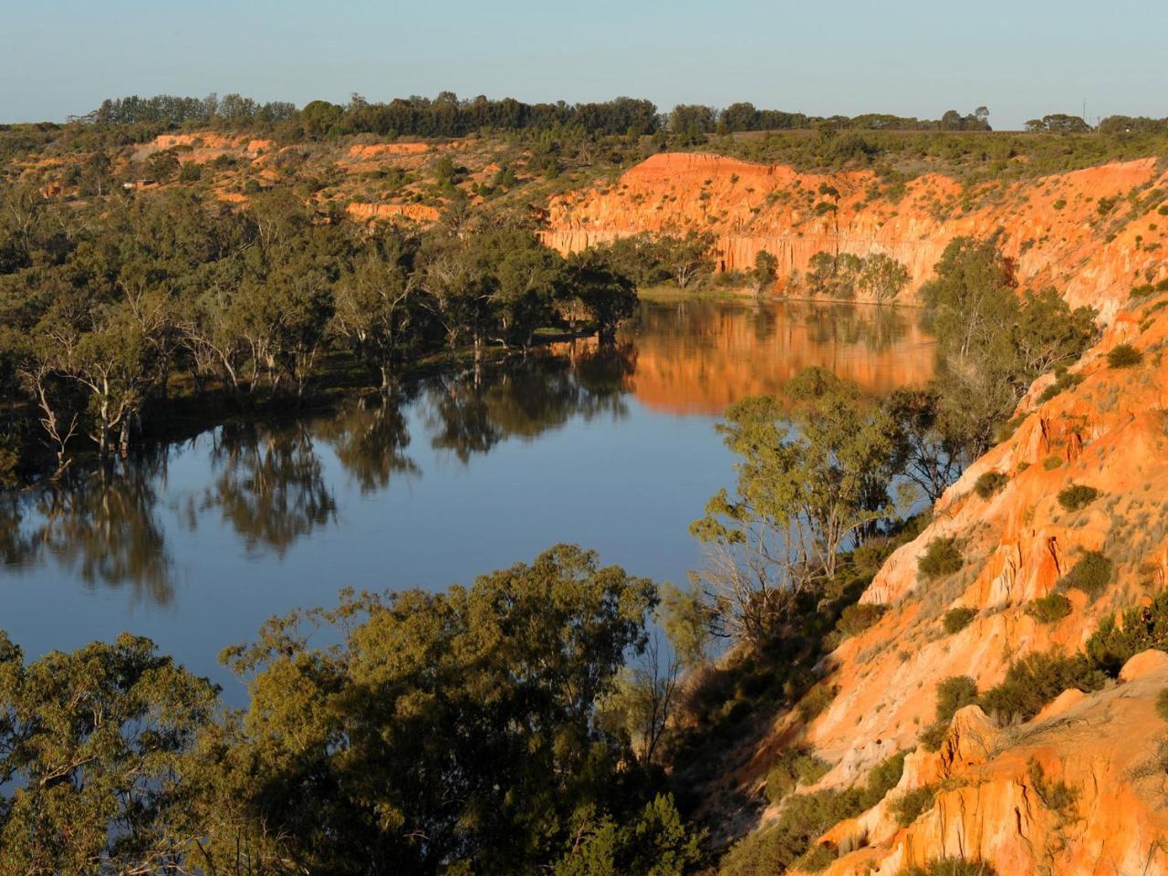 Riverbend Caravan Park Renmark Exteriör bild