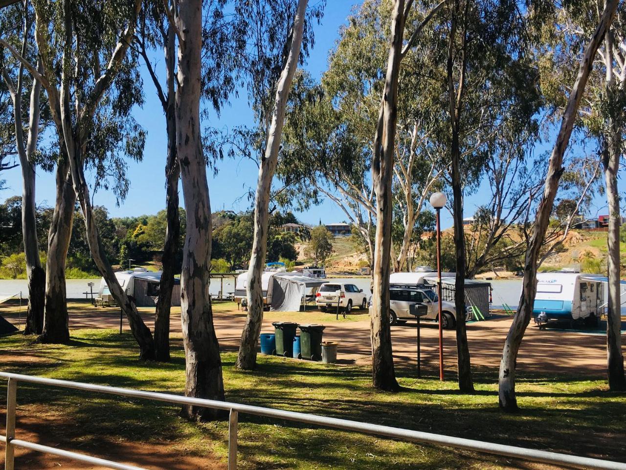 Riverbend Caravan Park Renmark Exteriör bild